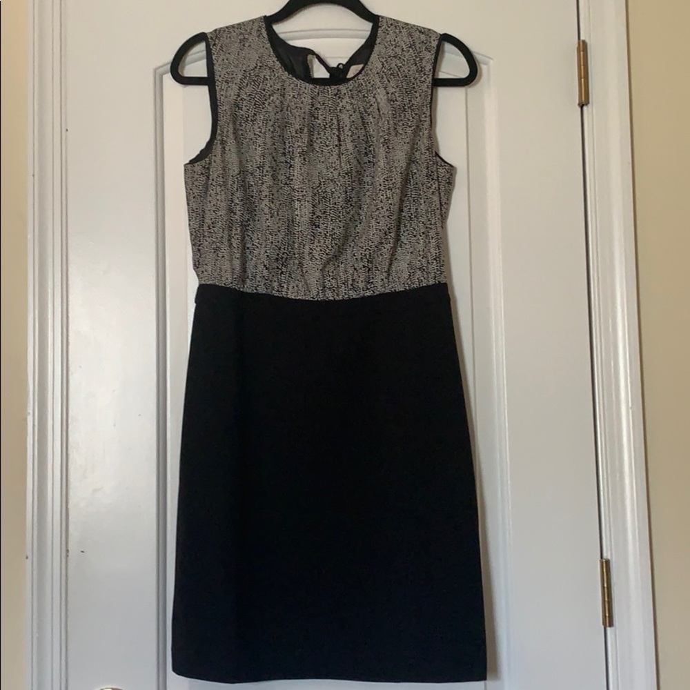 Ann Taylor LOFT Dress